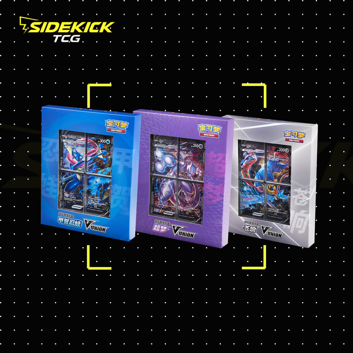 Pokémon TCG Simplified Chinese V-UNION Collection