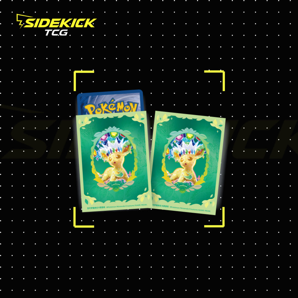 The Pokémon Crystal Gathering Binder Set (Simplified Chinese)