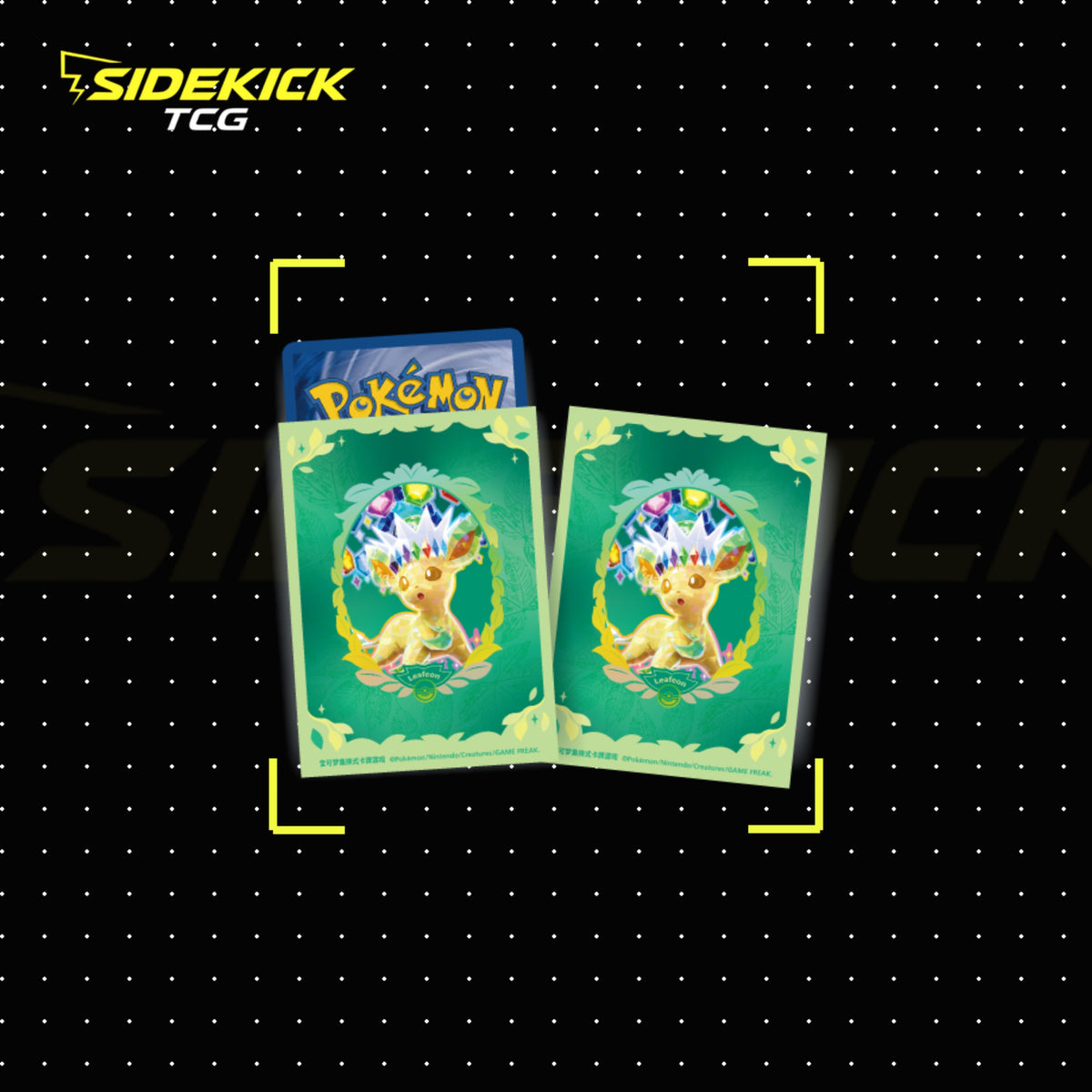The Pokémon Crystal Gathering Binder Set (Simplified Chinese)