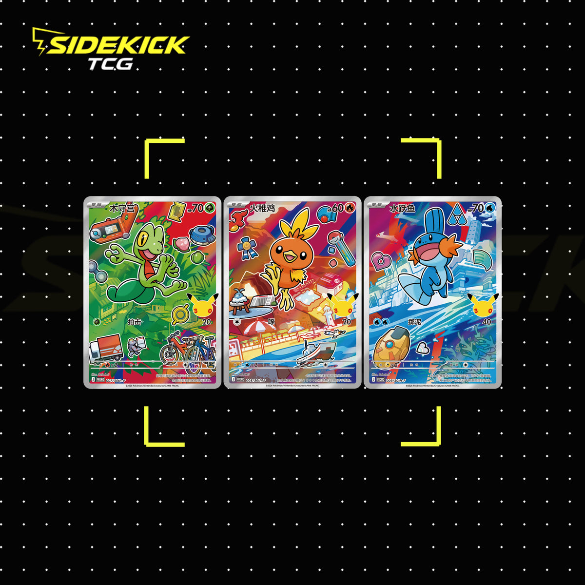 Pokémon TCG Simplified Chinese 30th Anniversary First Partner Card Set Vol. 3