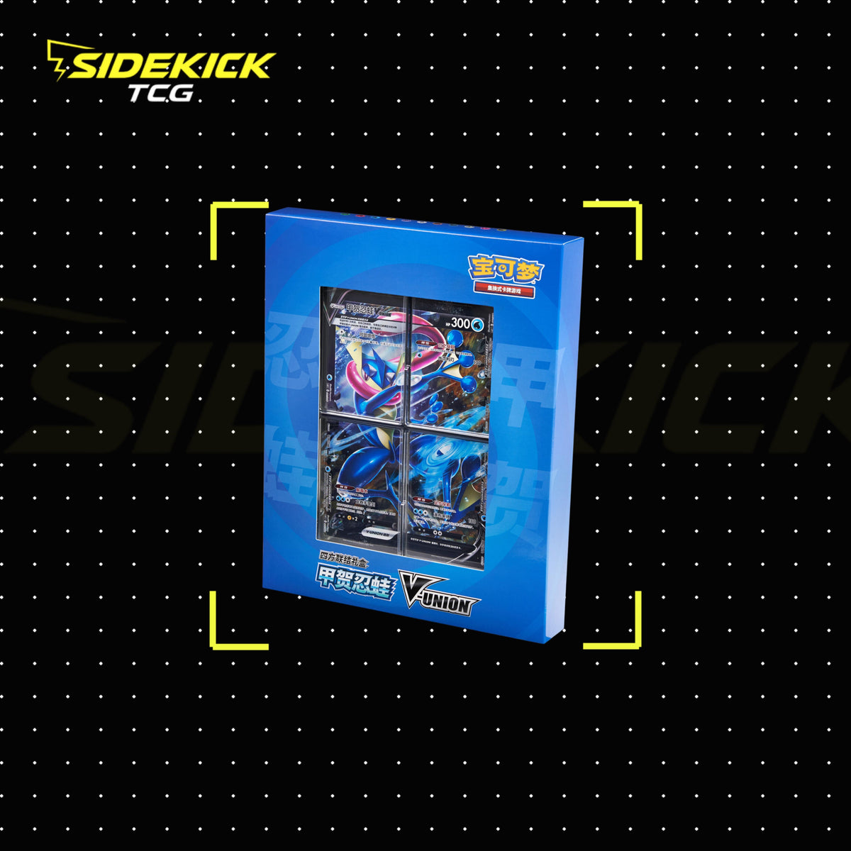 Pokémon TCG Simplified Chinese V-UNION Collection