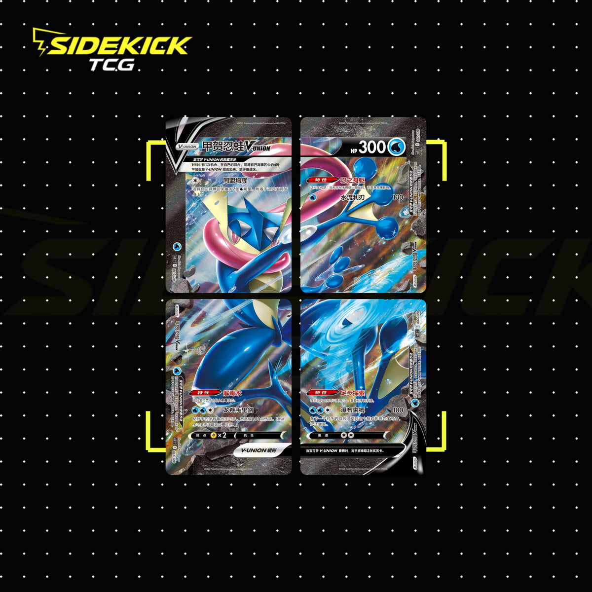 Pokémon TCG Simplified Chinese V-UNION Collection
